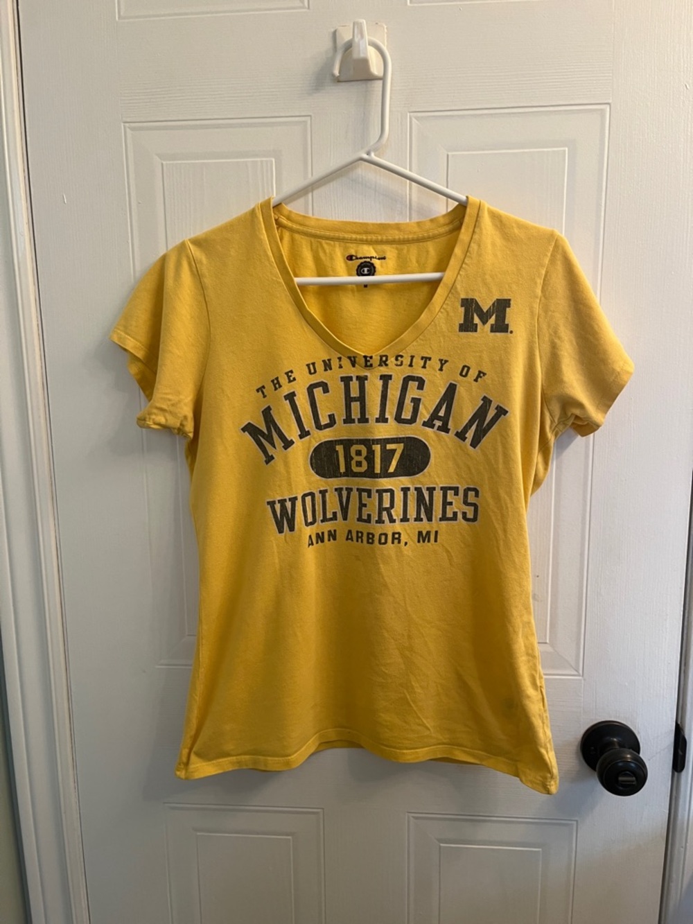 Michigan wolverines - Picture 1 of 2